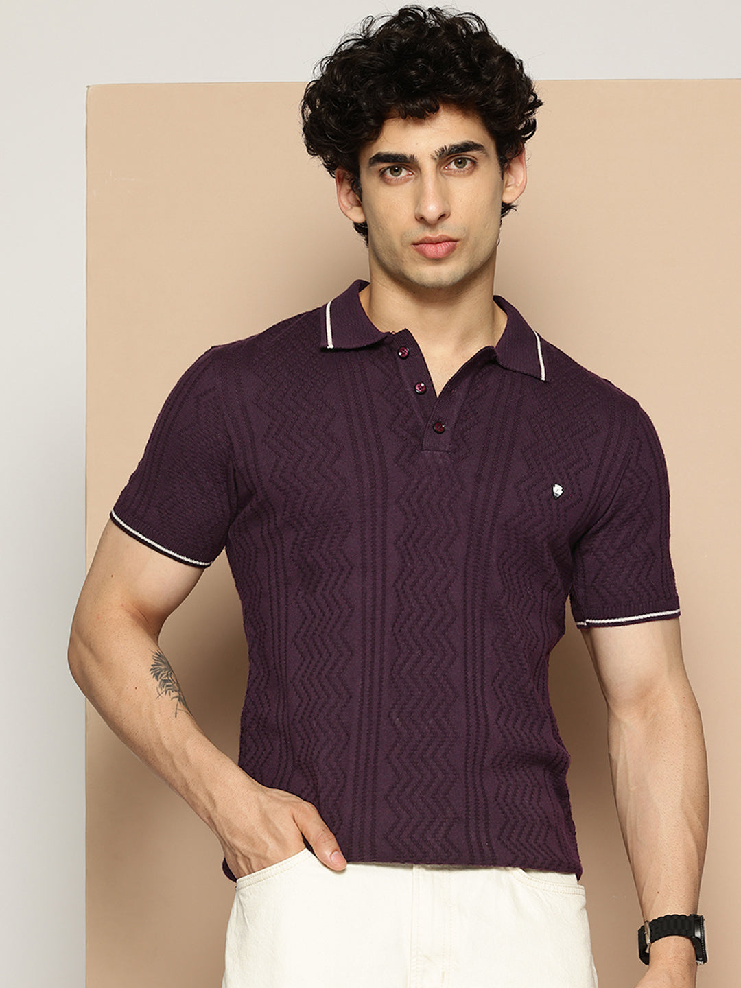 CLAPTON Men Knitted Textured Polo Collar Tshirt PURPLE