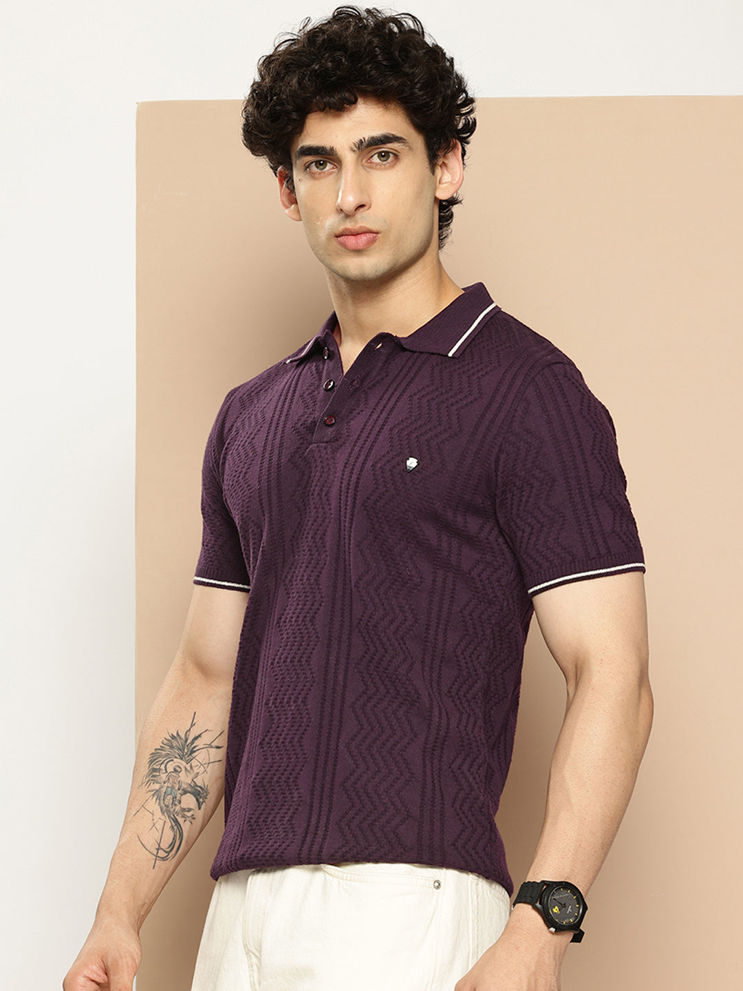 CLAPTON Men Knitted Textured Polo Collar Tshirt PURPLE