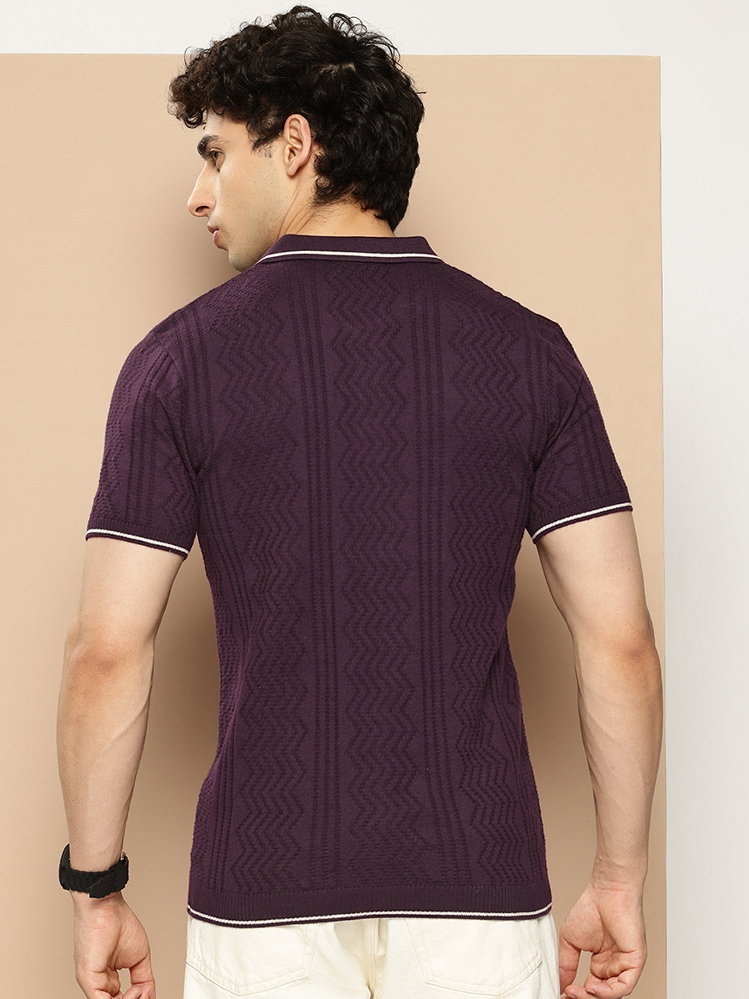 CLAPTON Men Knitted Textured Polo Collar Tshirt PURPLE