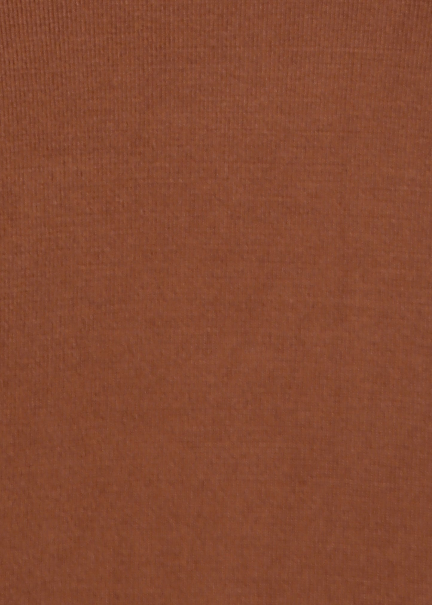 Women Solid Color Round Neck Half Sleeve Viscose T-Shirt Brown