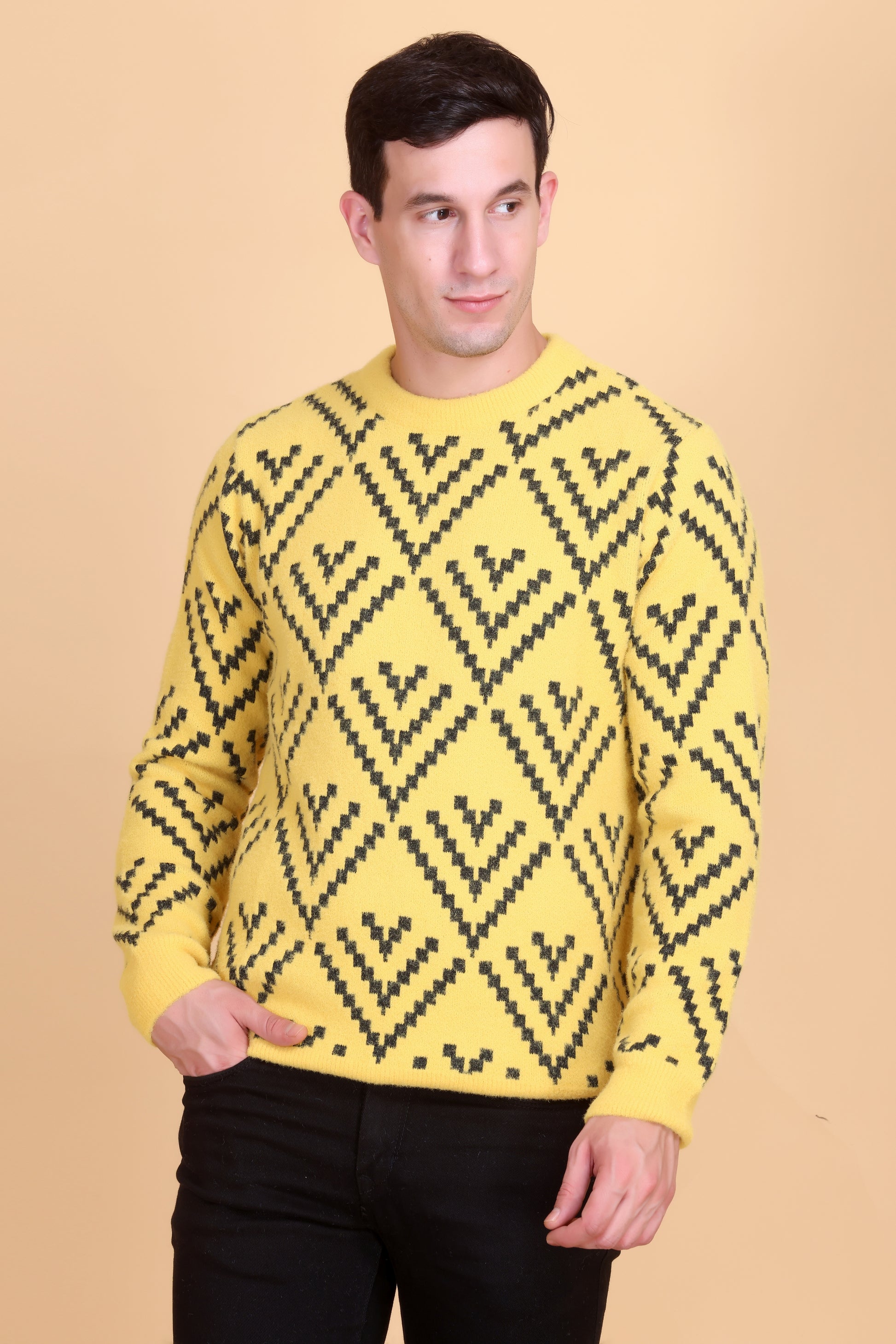 Round neck men sweater