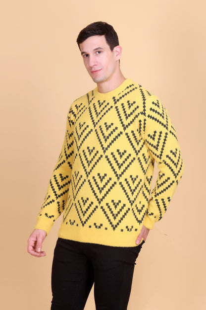 Round neck men sweater