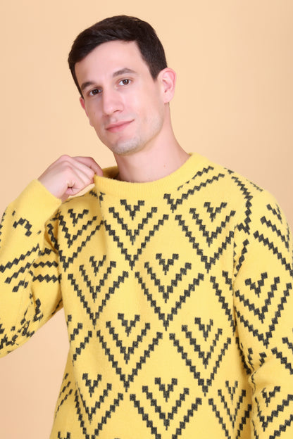 Round neck men sweater