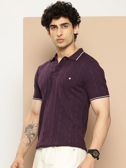 CLAPTON Men Knitted Textured Polo Collar Tshirt PURPLE