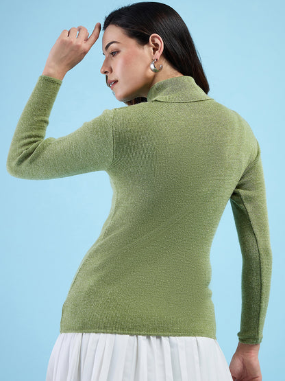 Clapton turtleneck High Neck Top knitted Winter Sweater for Women Pure Wool Full Sleeve Parrot  Green