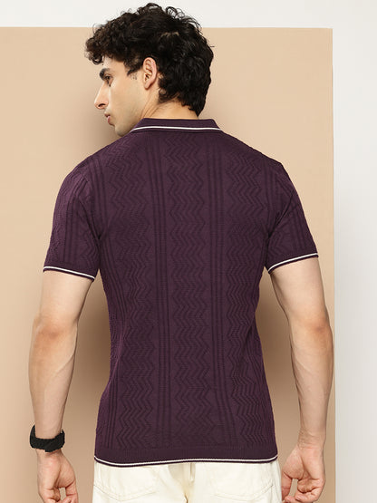 CLAPTON Men Knitted Textured Polo Collar Tshirt PURPLE
